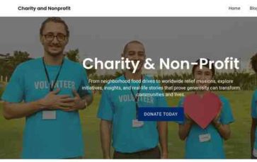 Charity and Nonprofit (screenshot desktop)