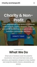 Charity and Nonprofit (screenshot mobile)