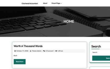 Screenshot Desktop Chartered Accountant (VWThemes) (screenshot desktop)