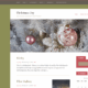 Christmas Joy (WordPress)