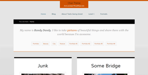 Chun (WordPress)