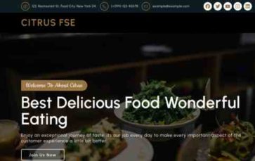 Citrus FSE (screenshot desktop)