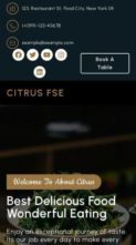 Citrus FSE (screenshot mobile)