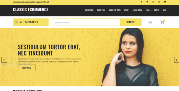 Classic Ecommerce (WordPress)
