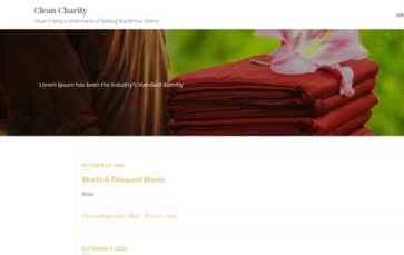 Clean Charity (screenshot desktop)