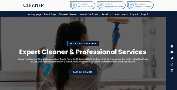 Cleaner (WordPress)