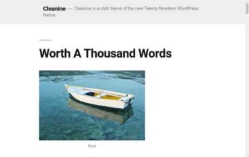 Cleanine (screenshot desktop)
