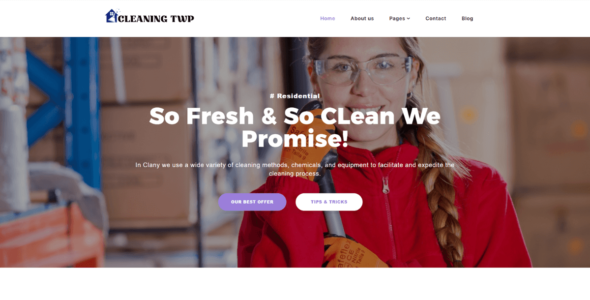 Cleaning Elementor (WordPress)