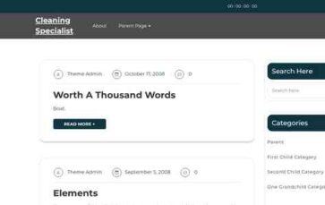 Cleaning Specialist (screenshot desktop)