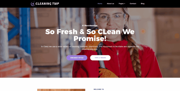 Cleaning TWP (WordPress)
