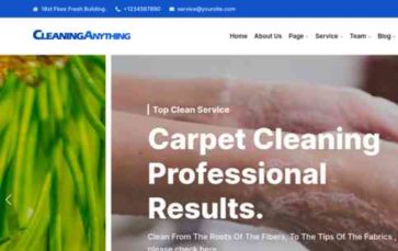 CleaningAnything (screenshot desktop)