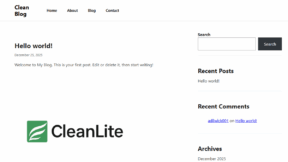 CleanLite (WordPress)