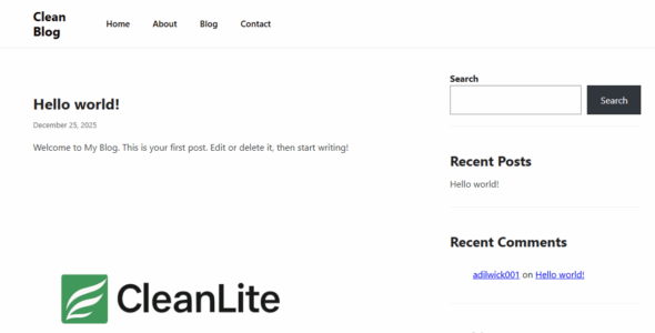CleanLite (WordPress)
