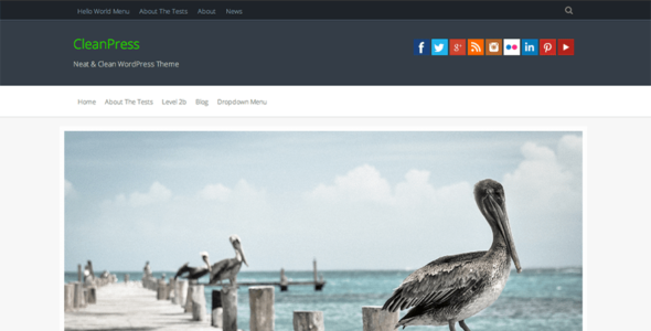 CleanPress (WordPress)