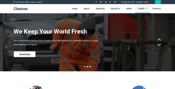 Cleanse (WordPress)
