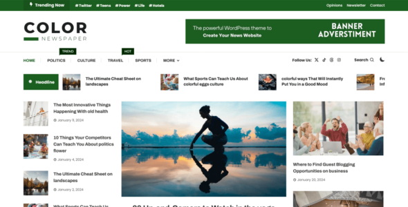 Color Newspaper (WordPress)