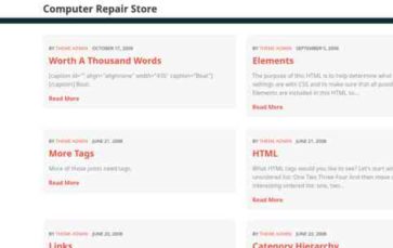 Computer Repair Store (screenshot desktop)
