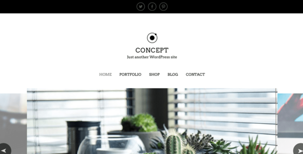 Concept Lite (WordPress)