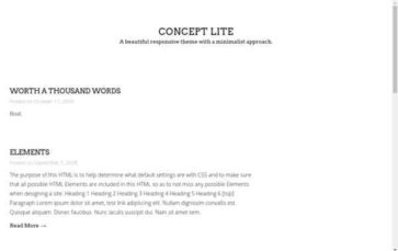 Concept Lite (screenshot desktop)