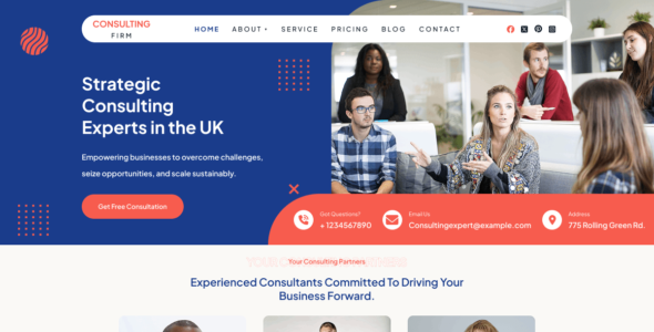 Consultancy Firm (WordPress)