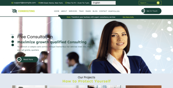 Consultancy Services (WordPress)