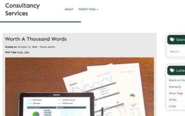 Consultancy Services (screenshot desktop)