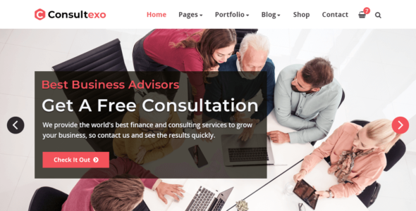 Consultexo (WordPress)