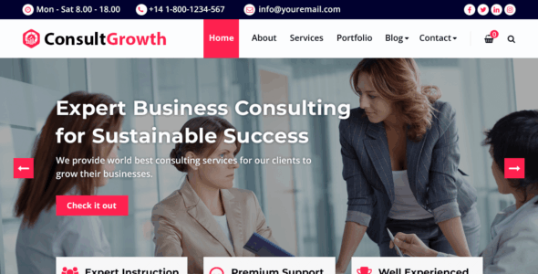 ConsultGrowth (WordPress)