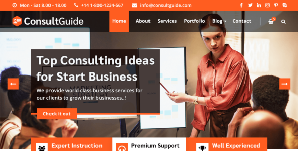 ConsultGuide (WordPress)