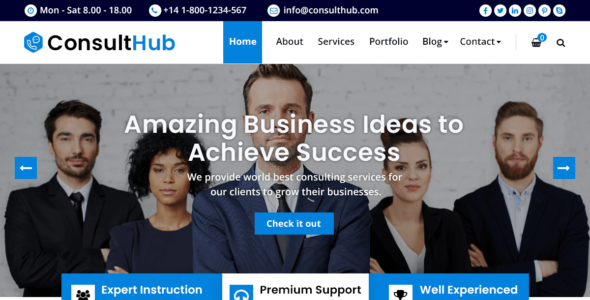 ConsultHub (WordPress)