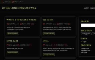 Consulting Services WDA (screenshot desktop)