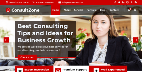 ConsultZone (WordPress)
