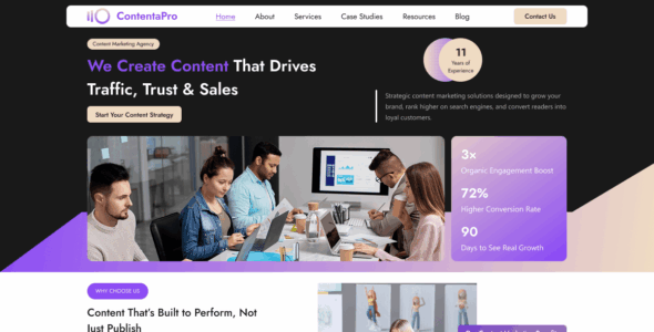 Content Marketing Agency (WordPress)