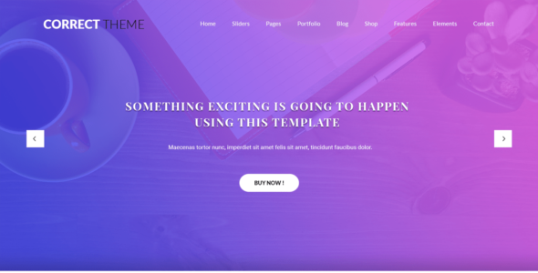 Correct Lite (WordPress)