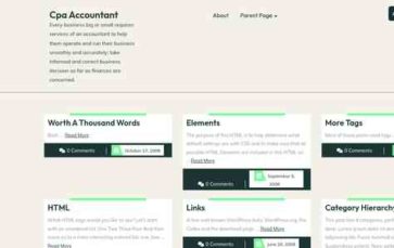Cpa Accountant (screenshot desktop)