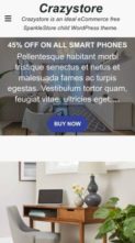 CrazyStore (screenshot mobile)