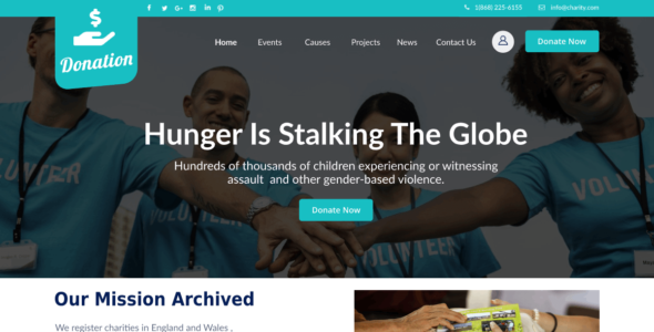 Crowdfunding Donation (WordPress)