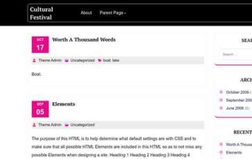 Cultural Festival (screenshot desktop)