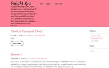 Delight Spa (screenshot desktop)