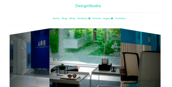 DesignStudio (WordPress)