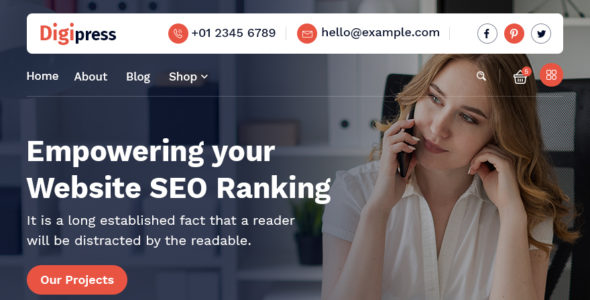 DigiPress (WordPress)