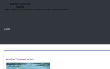 Digital Marketing Agency (screenshot desktop)