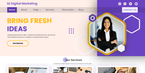 Digital Marketing Expert (WordPress)