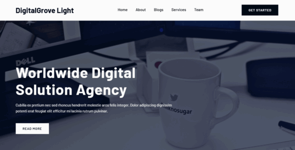 DigitalGrove Light (WordPress)