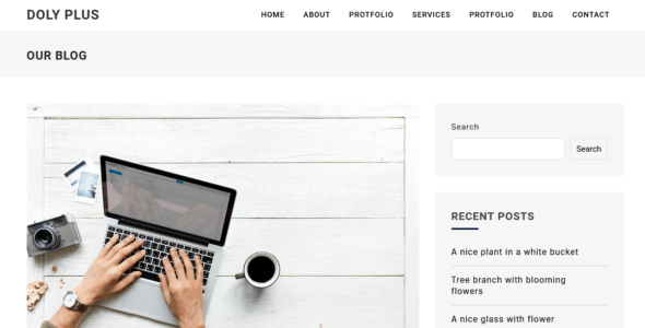 Doly Plus (WordPress)