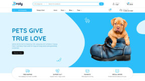 Draly Dropshipping Starter (WordPress)