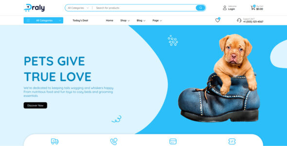 Draly Dropshipping Starter (WordPress)