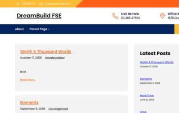 DreamBuild FSE (screenshot desktop)