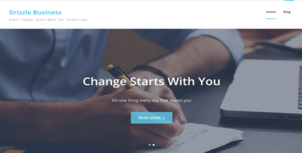 Drizzle Business (WordPress)