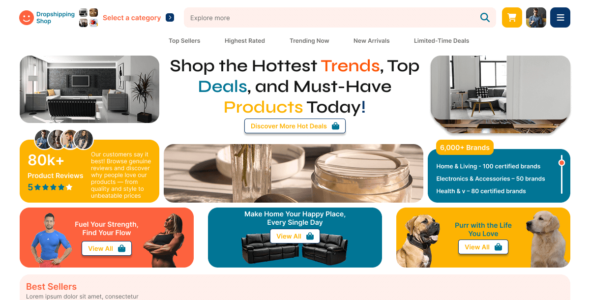 Dropshipping Shop (WordPress)